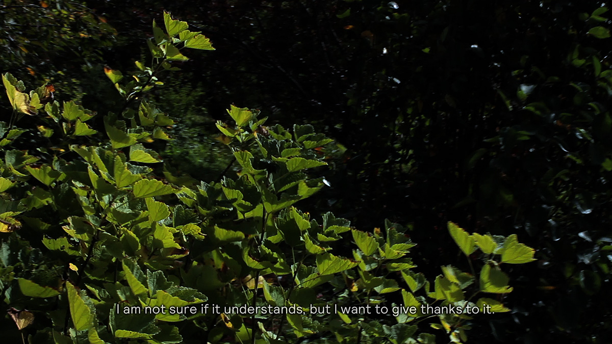 Gitte_Villesen_It-runs-about-like-ants_01215819