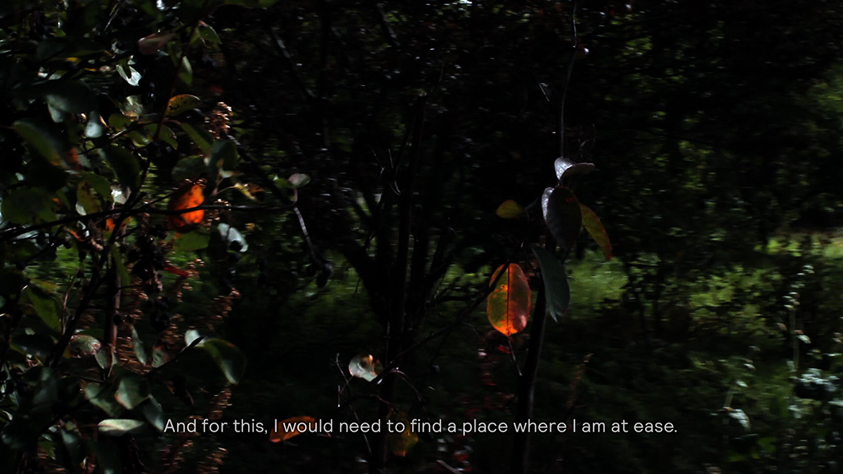 Gitte_Villesen_Skaidrite_01042517