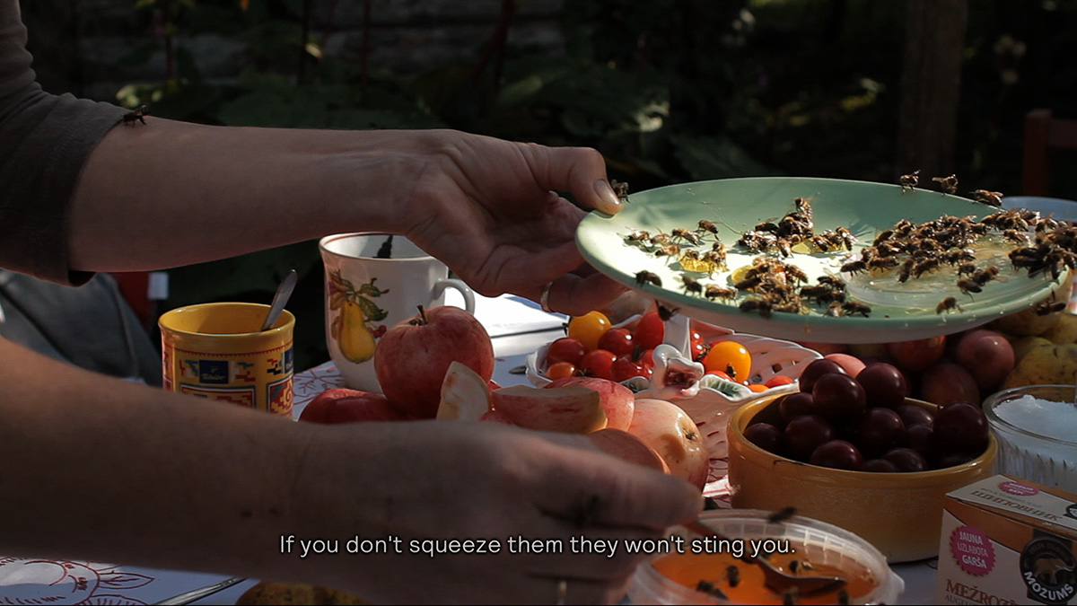 Gitte_Villesen_Skaidrite_01234519