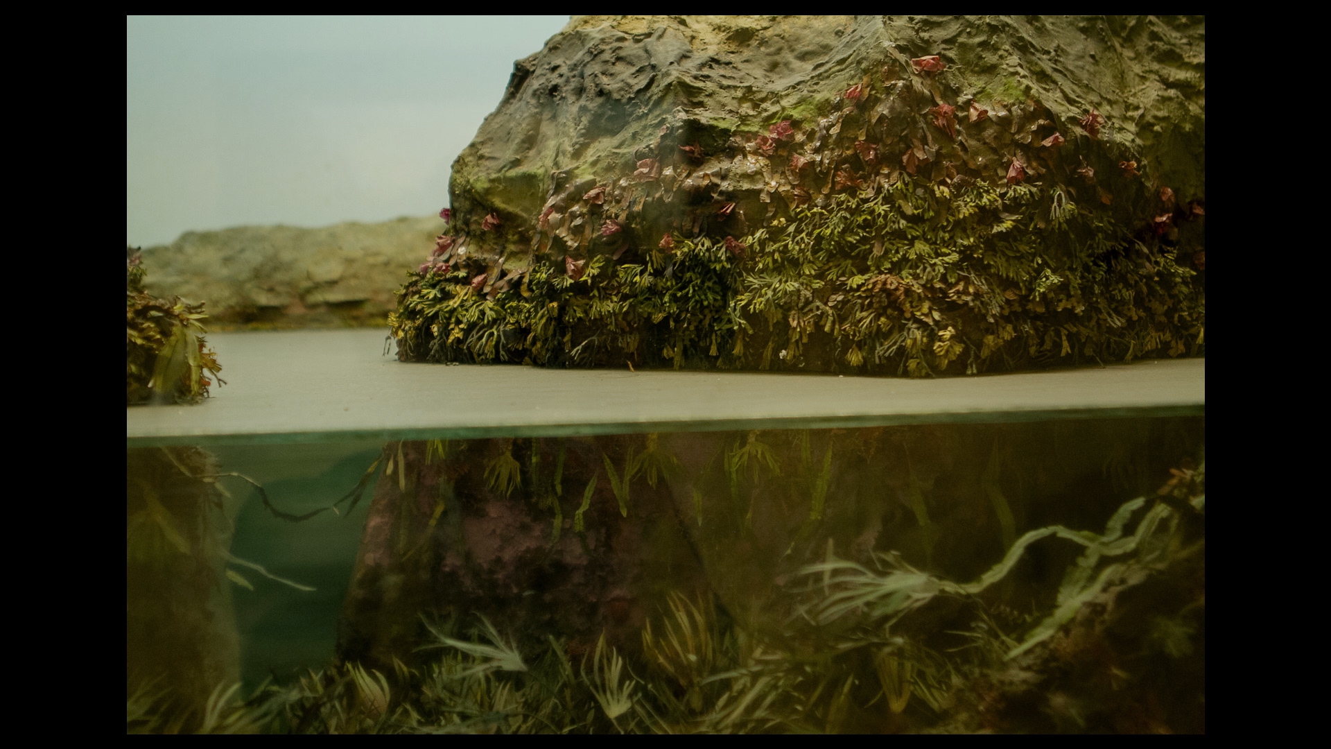 Diorama_H264_ACC_20-24mb.mp4.00_00_28_03.Still001