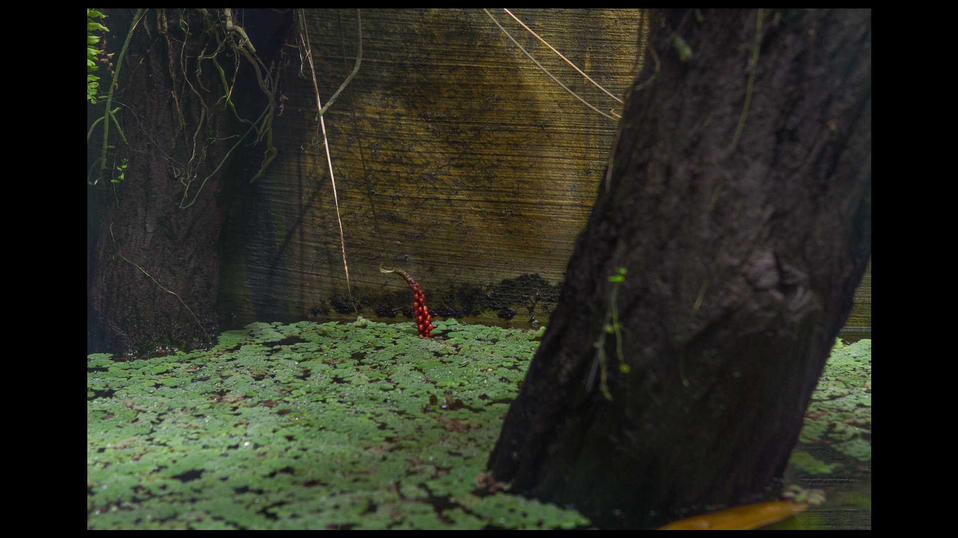 Diorama_H264_ACC_20-24mb.mp4.00_03_39_01.Still009