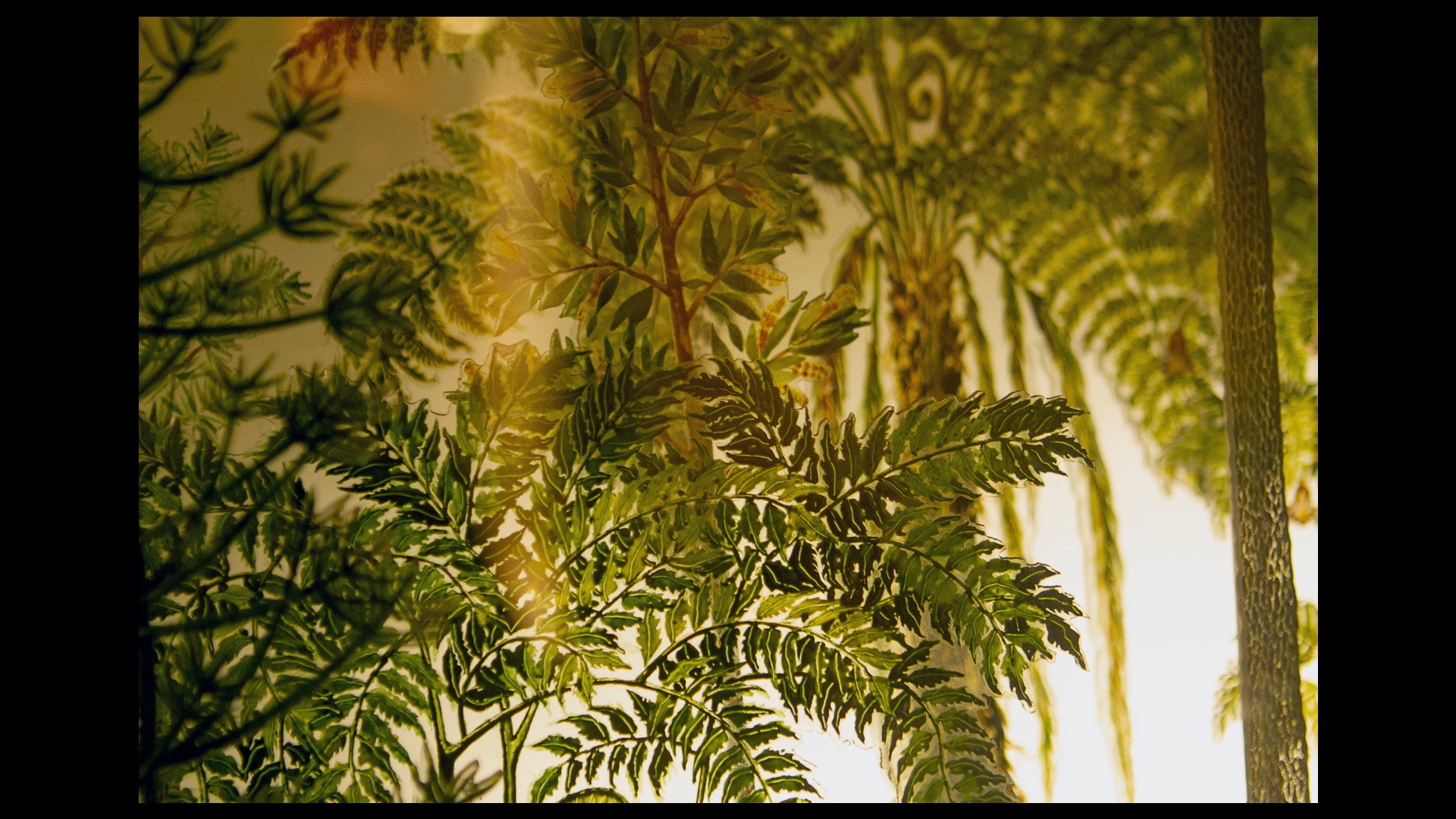 Diorama_H264_ACC_20-24mb.mp4.00_08_53_21.Still022