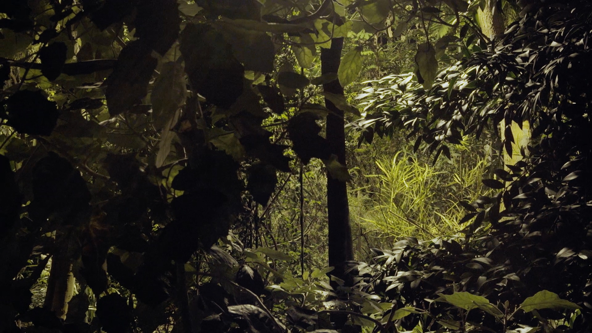 Diorama_H264_ACC_20-24mb.mp4.00_13_05_08.Still028