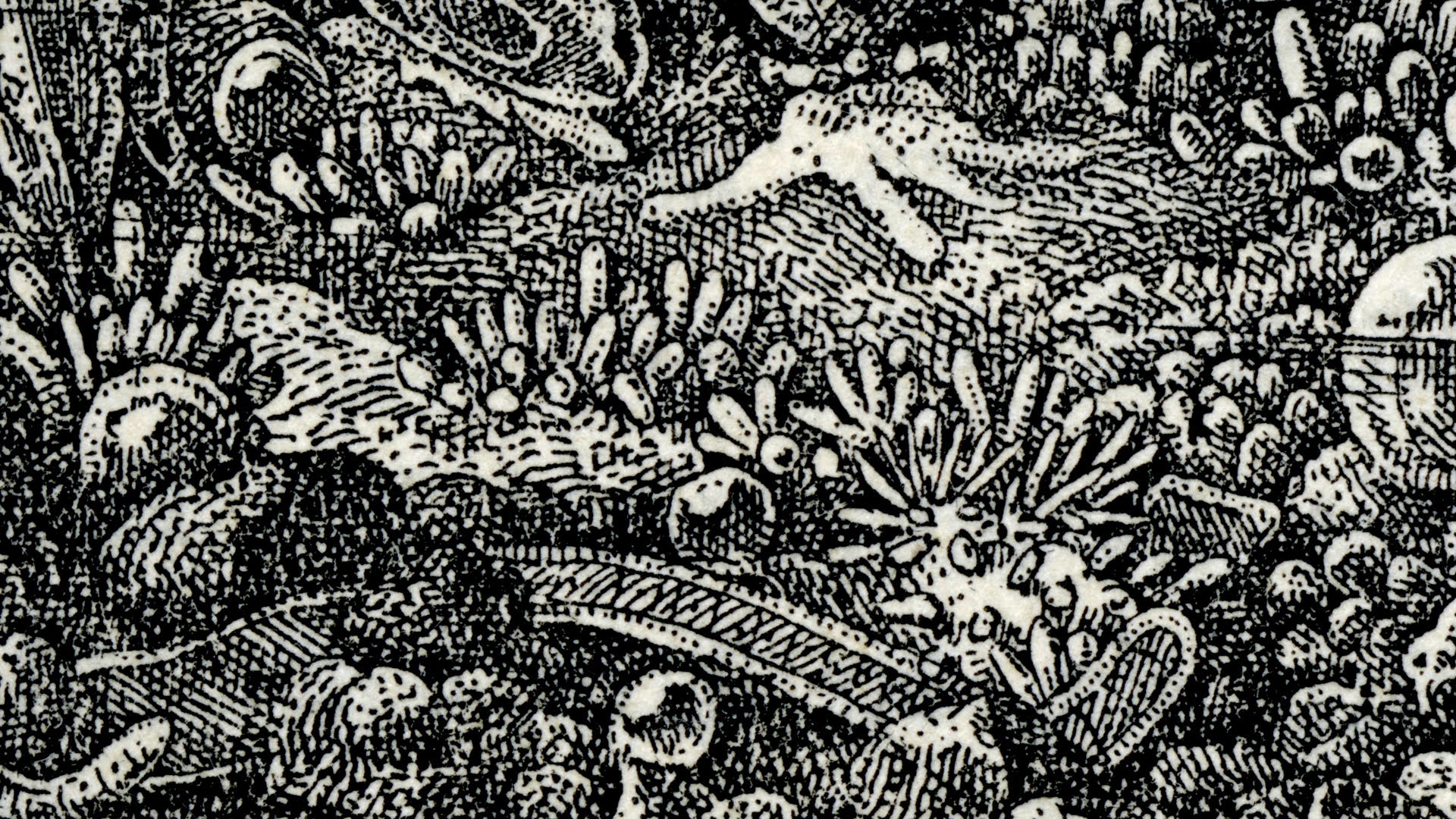 Diorama_H264_ACC_20-24mb.mp4.00_19_57_12.Still037