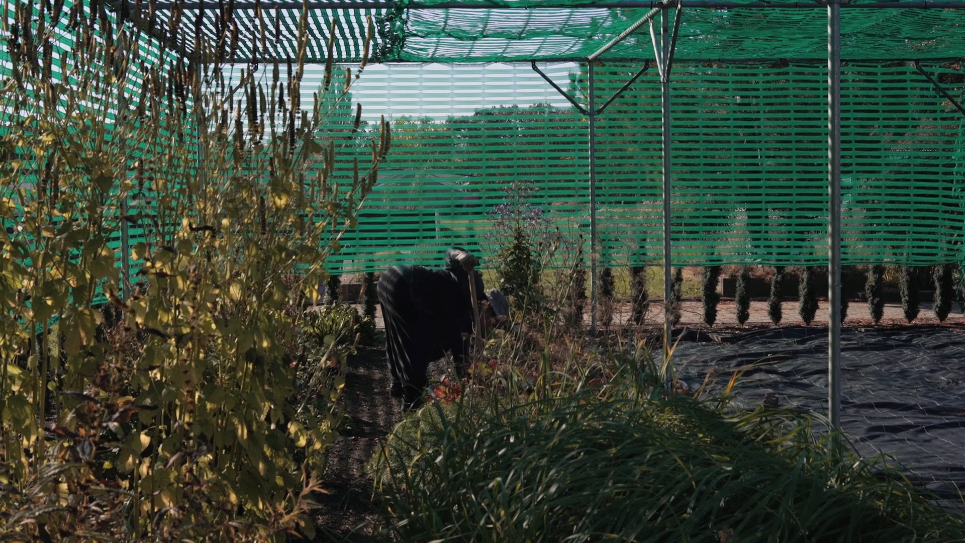 Gitti_Mute_Grade_H264_ACC.mov.00_10_09_00.Still007