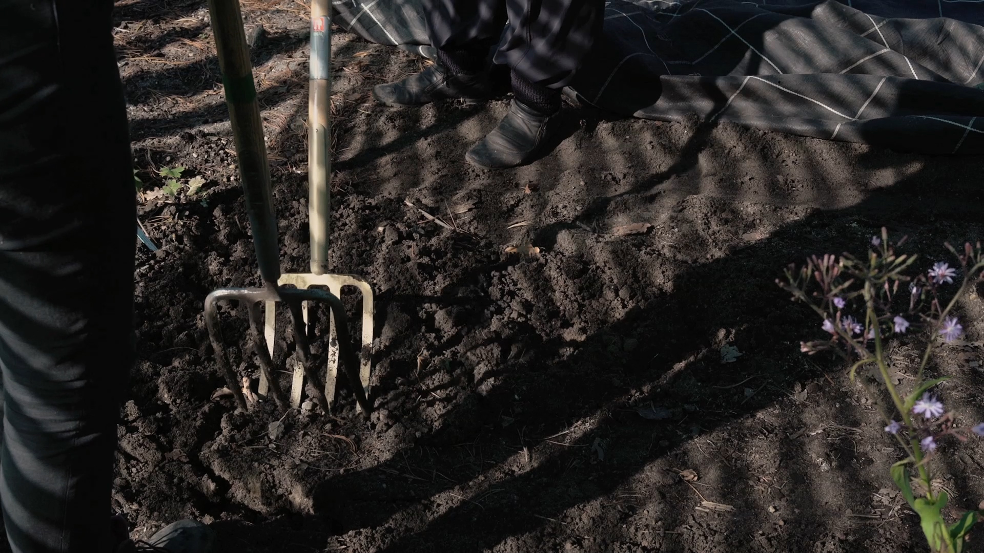 Gitti_Mute_Grade_H264_ACC.mov.00_10_55_24.Still006