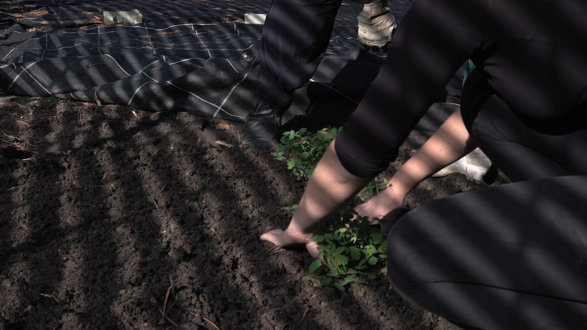 Gitti_Mute_Grade_H264_ACC.mov.00_15_00_28.Still004