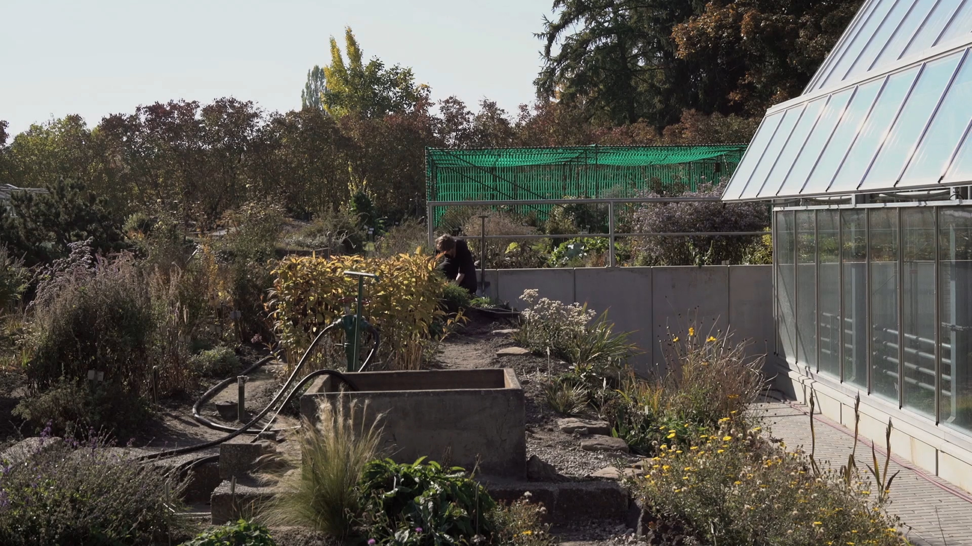 Gitti_Mute_Grade_H264_ACC.mov.00_16_34_18.Still005