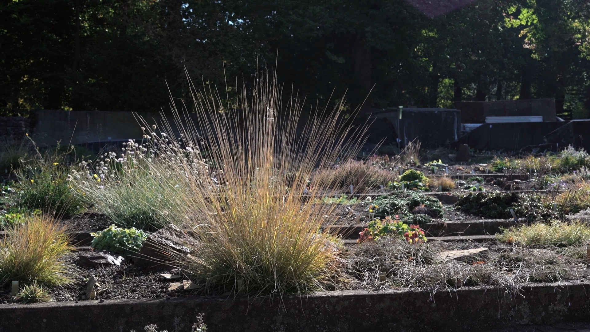 Gitti_Mute_Grade_H264_ACC.mov.00_17_37_20.Still009