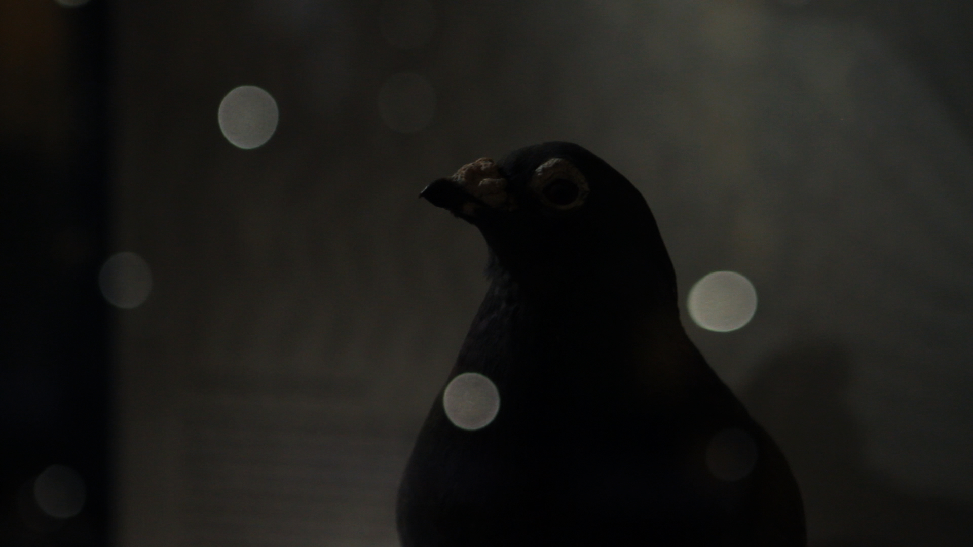 Learningstone_01051521