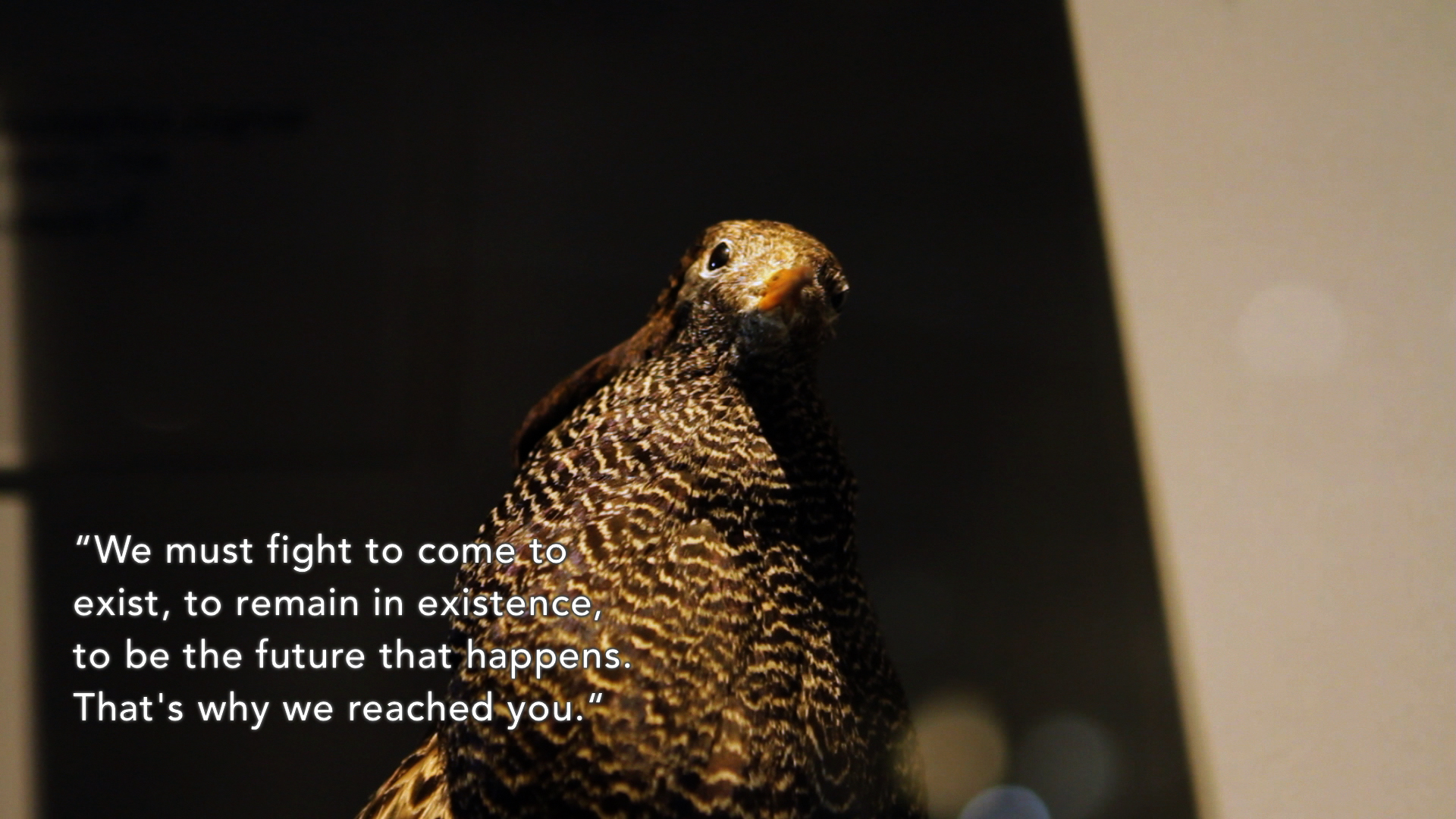 Learningstone_fight to exist