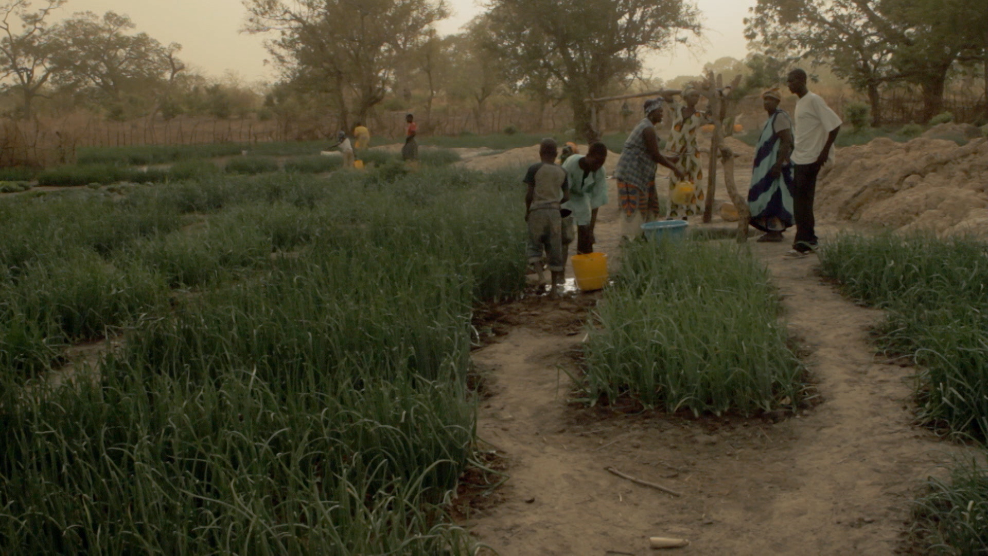 TheImprovisation_422.mov.01_14_41_08.Still011