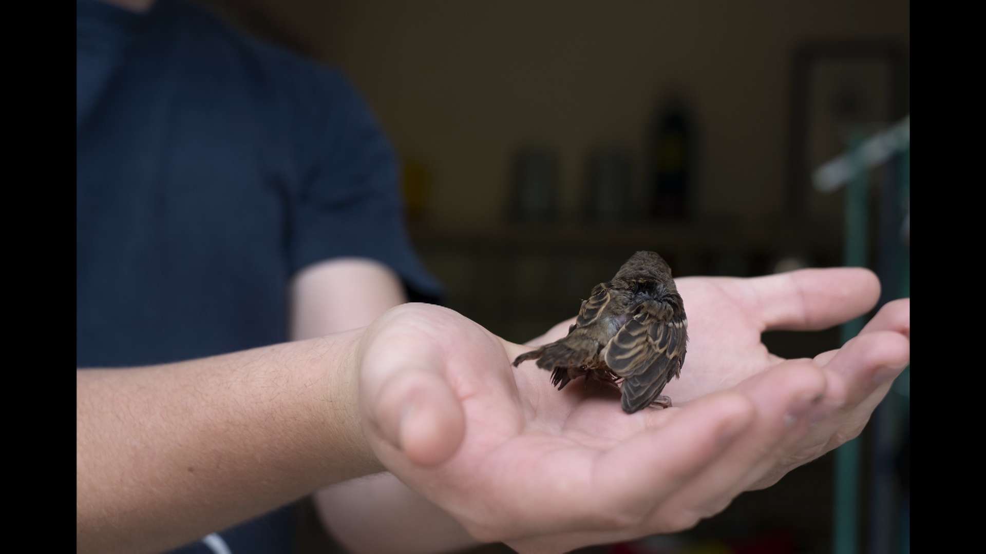 Gitte Villesen_It grew fur again.Still083