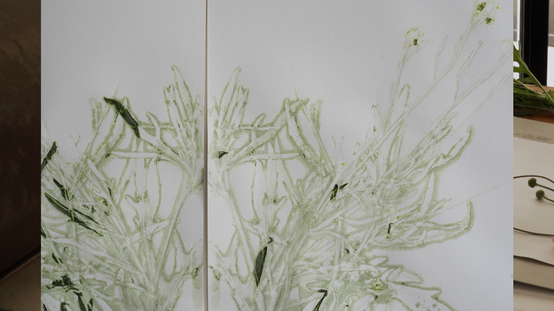 Gitte Villesen_It grew fur again.Still084