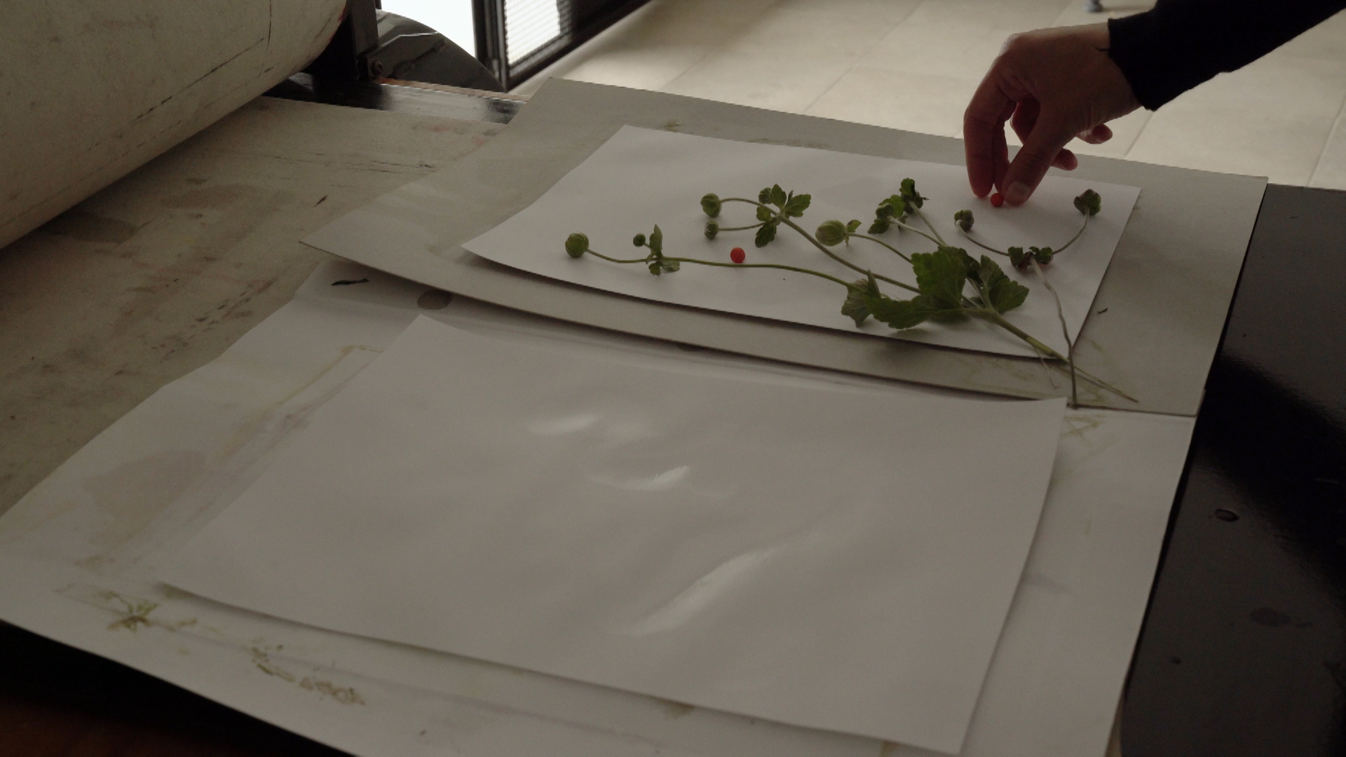 Final with footnote_It grew fur again_20220418.01_12_38_01.Still085