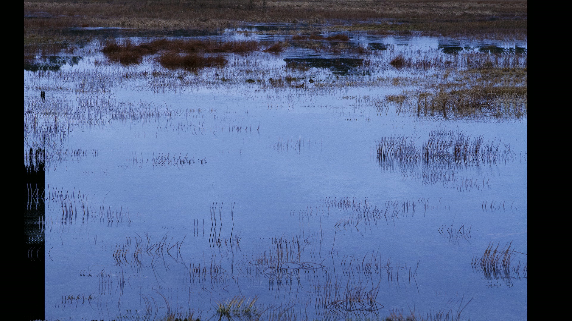 Gitte Villesen_It grew fur again.Still086