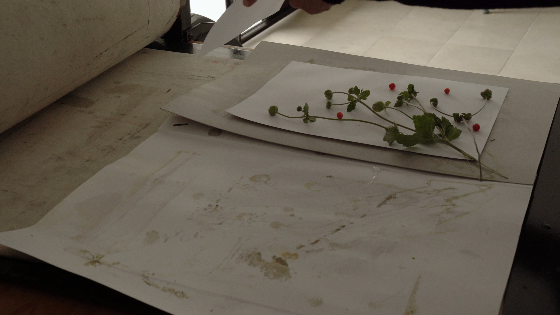 Gitte Villesen_It grew fur again.Still001